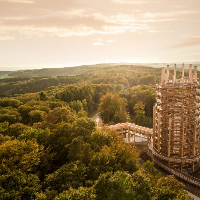Ein Aussichtsturm aus Holz steht inmitten eines Waldgebietes unter einem goldenen Himmel in Waldbröl.