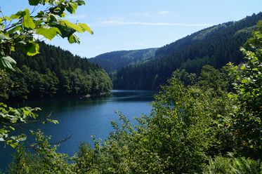 <p>Blick auf einen ruhigen, von Wäldern umgebenen See unter klarem, blauem Himmel in einer hügeligen Landschaft.</p>