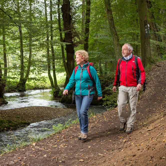 <p>Älteres Paar wandert auf einem Waldweg entlang eines Bachs in grüner, lichter Umgebung.</p>