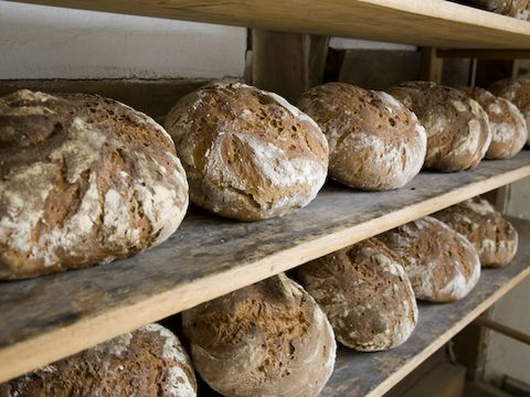 Frisch gebackenes Brot im Regal