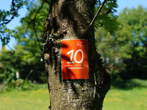 An einem Baum ist das rote Markierungszeichen des Energieweges angebracht.