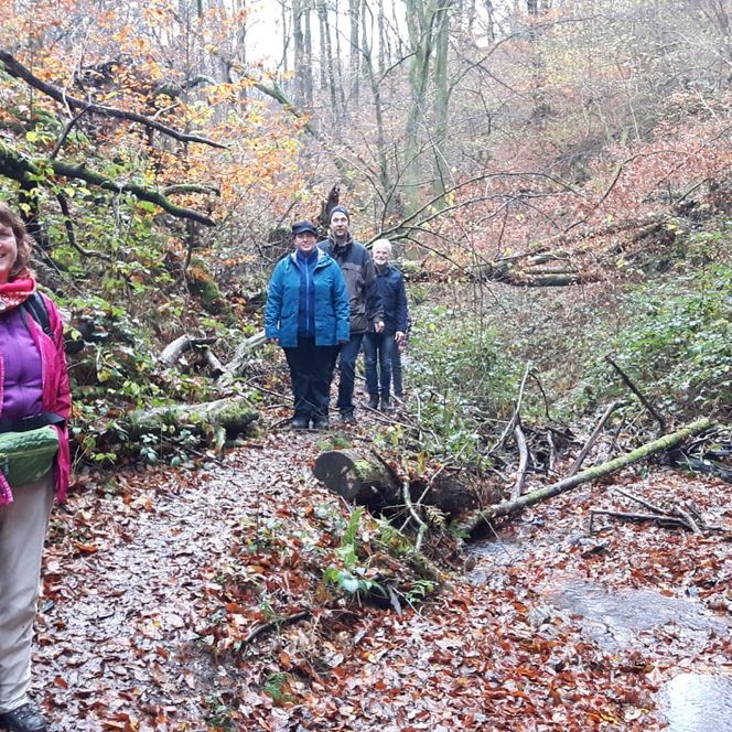 Vier Personen einer Wandergruppe stehen im Wald neben einem Bach.