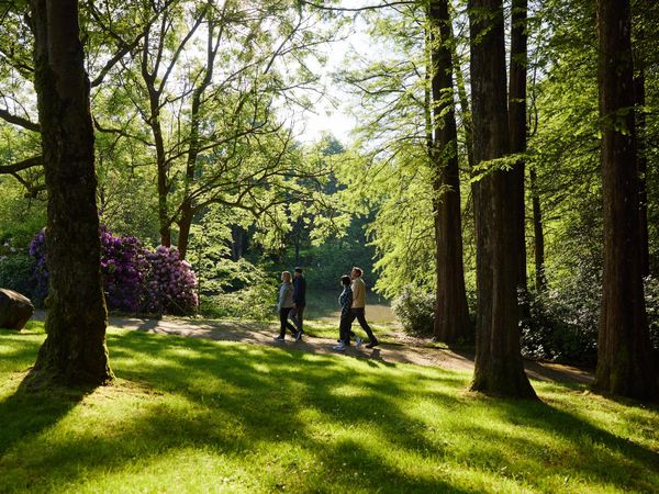 Vier Menschen spazieren um einen Weg in einem grünen Park.