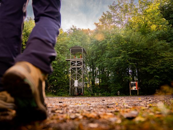 Blick auf eine Infotafel und einen stillgelegten Förderturm im Wald. Im Vordergrund sind Beine mit Wanderschuhen zu sehen.