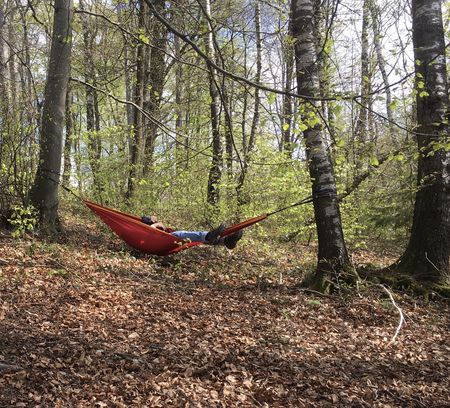 Eine Person liegt in einer roten Hängematte die im Wald zwischen zwei Bäumen gespannt ist.
