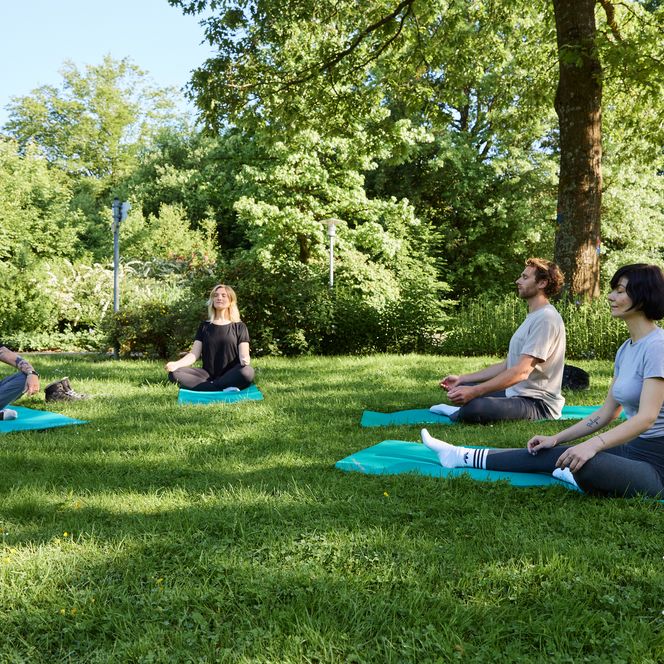 <p>Fünf Personen meditieren auf grünen Matten im Park, umgeben von üppigem Grün und Bäumen.</p>