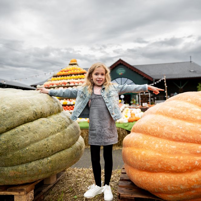 Mädchen zwischen großen Kürbissen vor einem herbstlichen Fest im Freien.