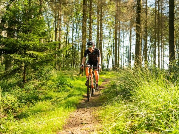 Ein Radfahrer fährt mit einem Gravelbike auf einem Waldweg auf den Fotografen zu. 