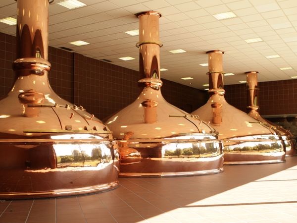 Mehrere glänzende Kupfer-Sudkessel in der Innenhalle einer Brauerei