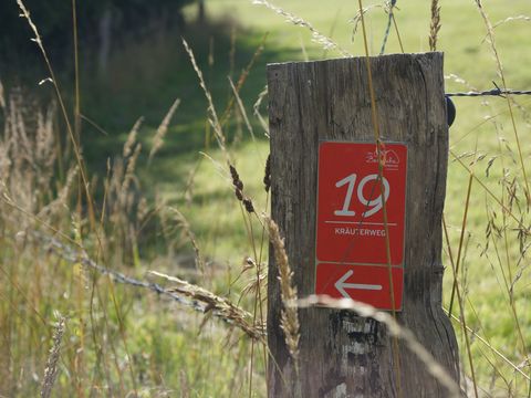 Markierung auf Holzpfosten am Wiesenrand