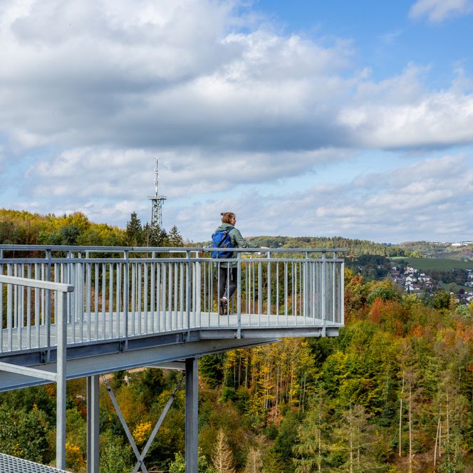 Aussichtsplattform im Grünen, Person genießt Ausblick auf bewaldete Hügel und Talsiedlungen.