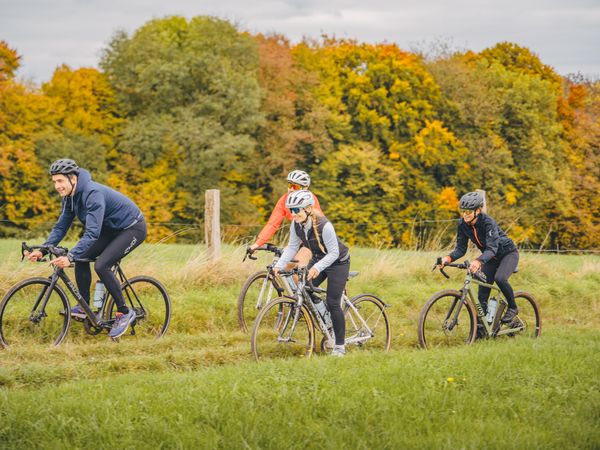 Vier Radfahrer auf Gravelbikes fahren über einen Wiesenweg in herbstlicher Landschaft.