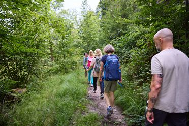 Wanderer auf einem grünen Waldweg, von hohen Bäumen umgeben, in sommerlicher Kleidung.