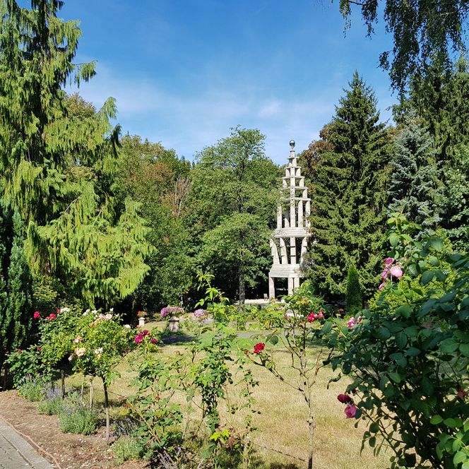 Der Rosengarten in Waldbröl mit dem markanten Aussichtsturm und umgeben von grünen Bäumen.