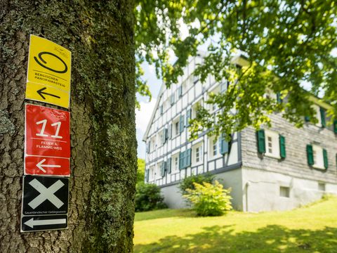 Ein gelbes, ein rotes und ein schwarzes markierungszeichen hängen an einem Baumstamm am linken Bildrand. Im Hintergrund ist unscharf ein Fachwerkhaus mit grünen Fensterläden unscharf auf einer Wiese zu erkennen. 