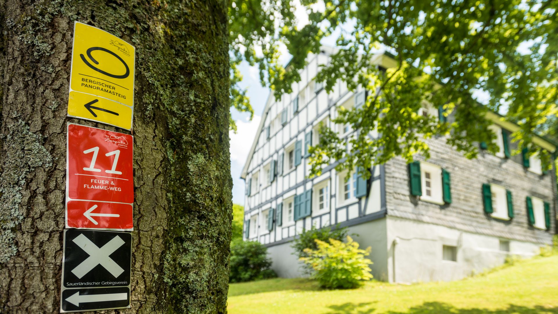 Ein gelbes, ein rotes und ein schwarzes markierungszeichen hängen an einem Baumstamm am linken Bildrand. Im Hintergrund ist unscharf ein Fachwerkhaus mit grünen Fensterläden unscharf auf einer Wiese zu erkennen. 