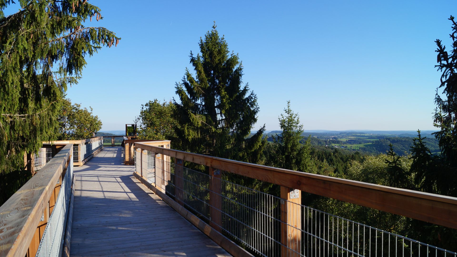 Holzbohlenweg durch die Baumwipfel mit Ausblick