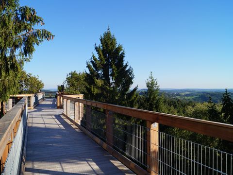 Holzbohlenweg durch die Baumwipfel mit Ausblick