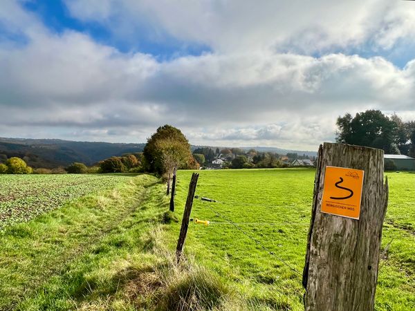 Ein orangenes Markierungszeichen klebt auf der rechten Seite des Bildes an einem Zaunpfosten. Links ist ein Wanderweg zu sehen, der über eine Wiese führt.