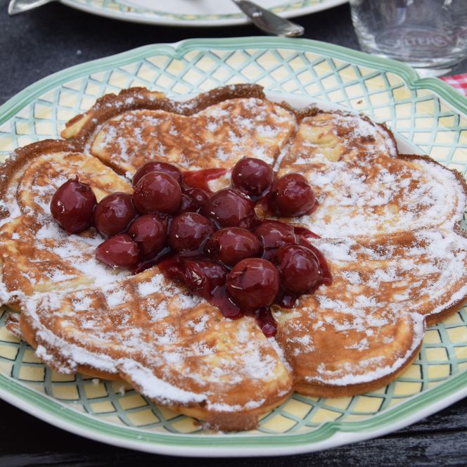 Waffelblüte mit Puderzucker und saftigen Kirschen auf einem dekorativen Teller angerichtet.