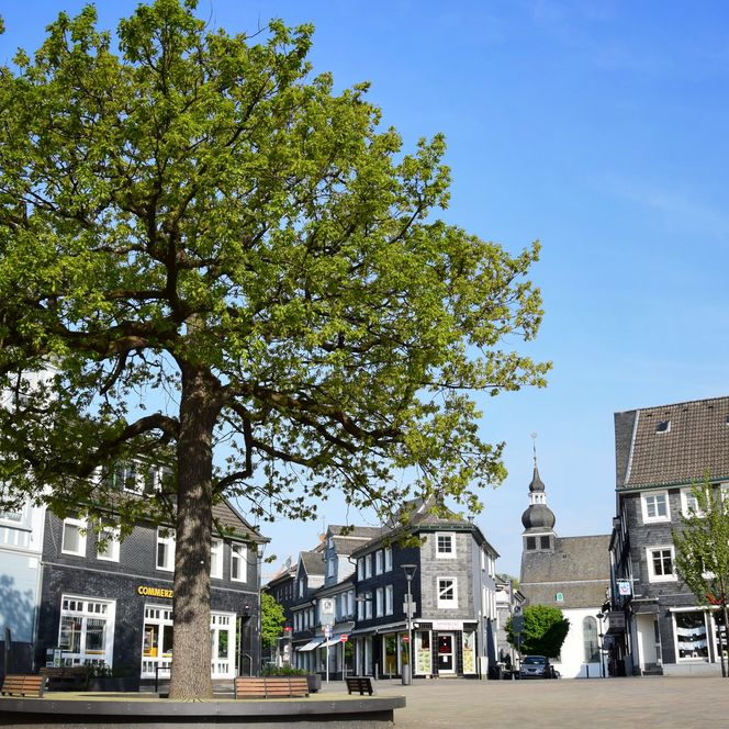 Ein malerischer Marktplatz in Radevormwald mit Fachwerkhäusern und einem großen Baum im Zentrum.