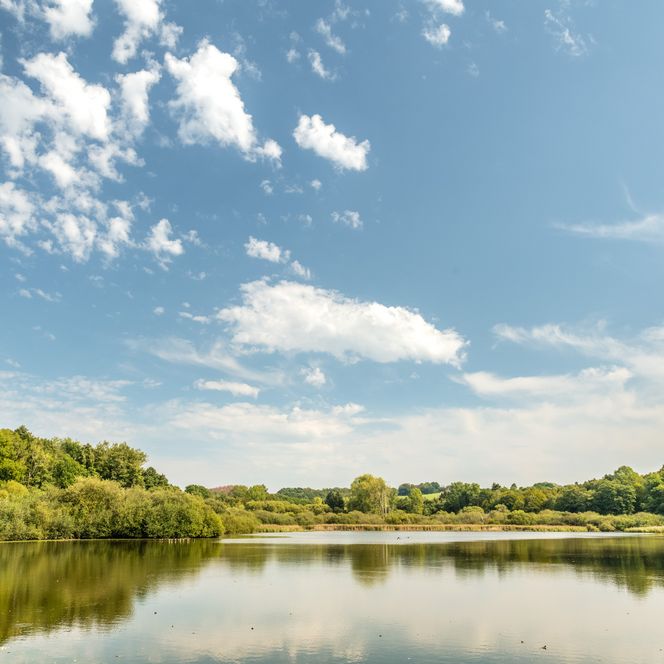 See mit spiegelndem Wasser, umgeben von Bäumen und blauem Himmel mit vereinzelten Wolken.
