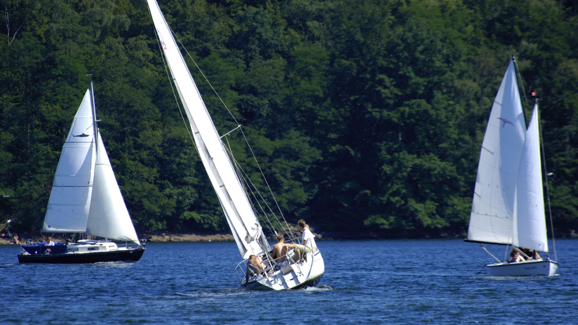 drei kleine, weiße Segelboote auf der Bevertalsperre