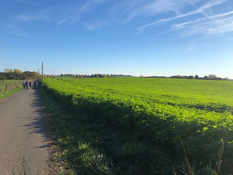 Weg auf der Linken Seite, und Feld auf der Rechten