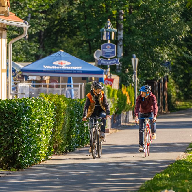 Zwei Radfahrer auf einem sonnigen Radweg in einer grünen Umgebung neben einem Café.