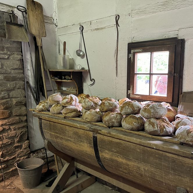 Brotlaibe auf rustikalem Holztisch in traditioneller Bäckerei mit Steinofen im Hintergrund.
