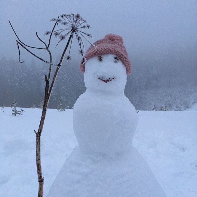 Schneemann im Winterwald mit rosa Mütze und Ast, umgeben von Schnee und Nebel in Gummersbach.