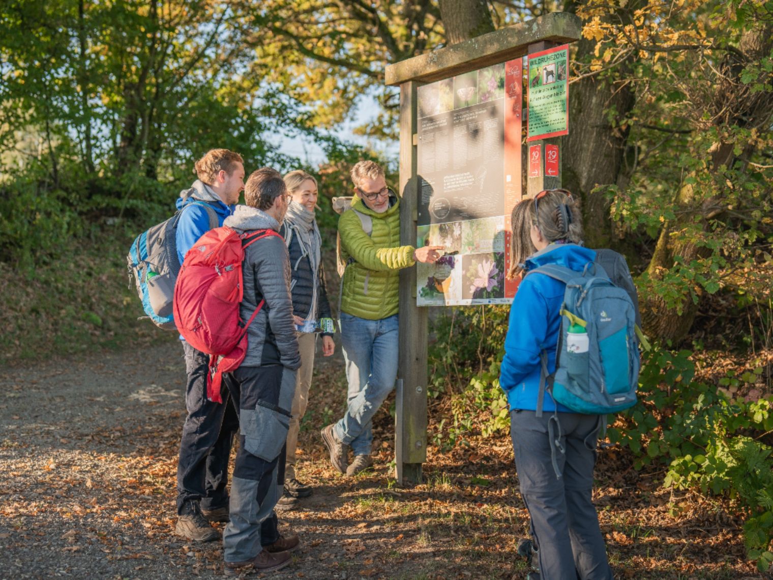 Eine Wandergruppe steht vor einer Infotafel im herbstlichen Wald. Der Wanderführer erklärt etwas auf der Infotafel.