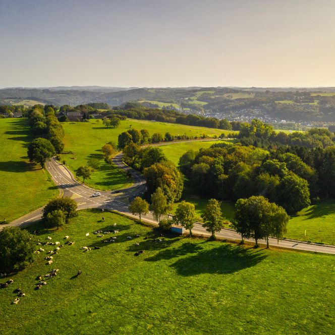 Luftaufnahme einer hügeligen Landschaft bei Sonnenschein mit Wiesen, Bäumen und einer Straße.