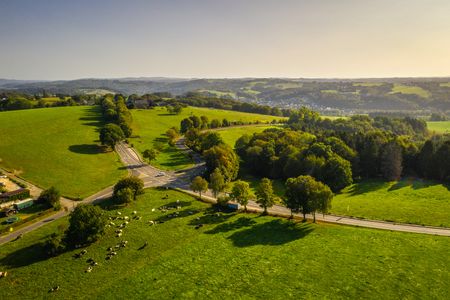 Luftaufnahme einer hügeligen Landschaft bei Sonnenschein mit Wiesen, Bäumen und einer Straße.