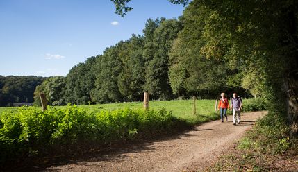 Zwei Personen spazieren auf einem ländlichen Weg, gesäumt von üppigem Grün und dichtem Wald.