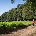 Zwei Personen spazieren auf einem ländlichen Weg, gesäumt von üppigem Grün und dichtem Wald.