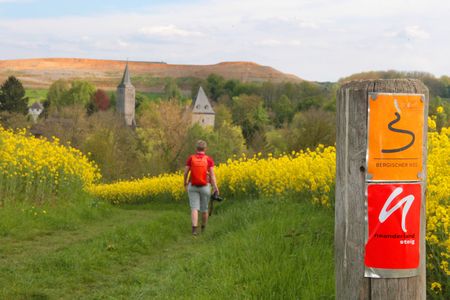 Ein Wanderer mit rotem Rucksack geht durch ein Rapsfeld auf eine Dorfkirche zu.