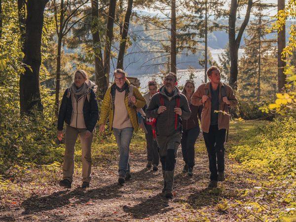 Eine Wandergruppe wandert durch einen herbstlichen Wald. Im Hintergrund ist eine Talsperre zu sehen.