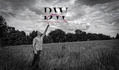 Ein Mann in einem Feld wirft ein Weinglas in die Luft, umgeben von Bäumen und bewölktem Himmel.