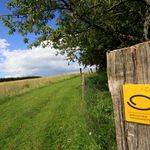 Bergischer Panoramasteig: Ein holzgesäumter Weg mit grünen Wiesen unter blauem Himmel.