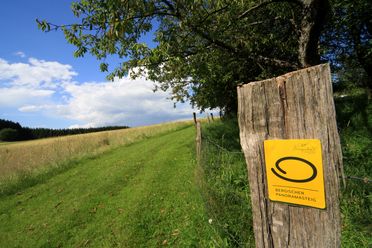 Bergischer Panoramasteig: Ein holzgesäumter Weg mit grünen Wiesen unter blauem Himmel.