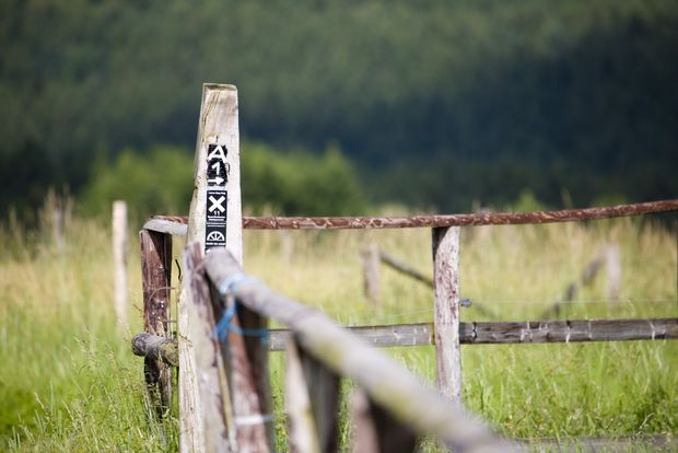 Wegemarkierung auf Holzpfosten