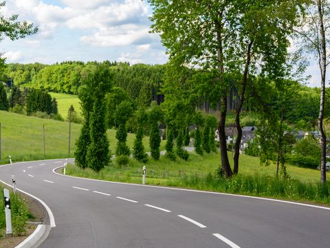 Eine zweispurige kurvige Straße die hinter Bäumen verschwindet. 