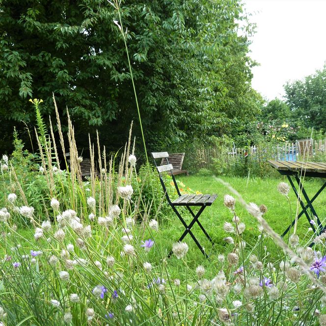 Ein Tisch und ein Stuhl stehen in einem Garten. Im Vordergrund sind blühende Sträucher zu sehen.