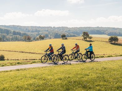 Vier Radfahrer radeln hintereinander über eine Straße zwischen Wiesen. Im Hintergrund ist weite Landschaft zu sehen.