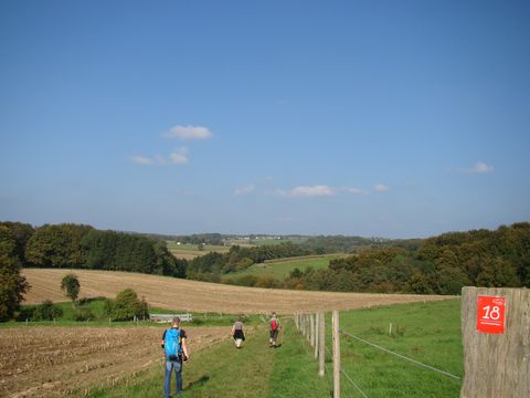 Wanderer von hinten auf einem Feldweg bei schönem Wetter, rechts im Bild ist das rote Markierungszeichen des Bauernhofweges zu sehen.