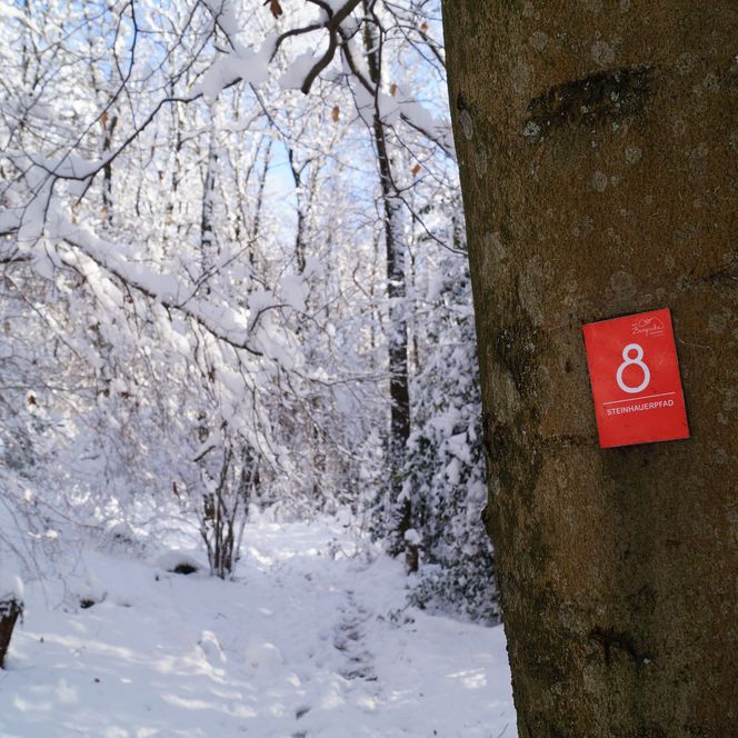 <p>Ein verschneiter Waldweg in Lindlar, im Winter mit rotem Schild an einem Baum, das die 8 zeigt.</p>