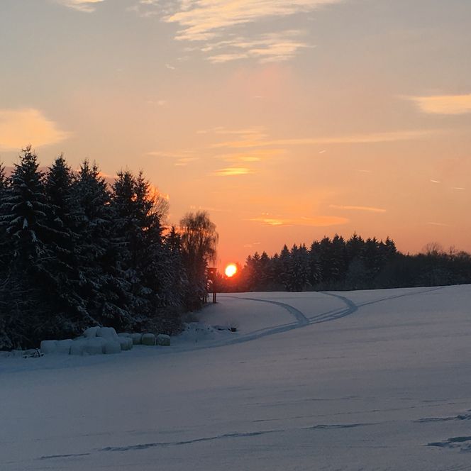 <p>Schneeweiße Landschaft bei Sonnenuntergang, mit Tannen am Horizont, in Bergneustadt.</p>