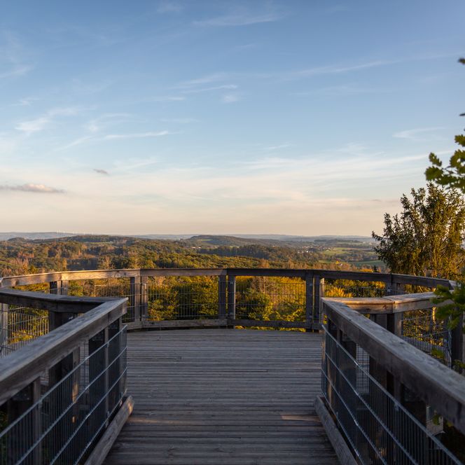 Aussichtsplattform mit Holzzaun bietet weiten Blick über bewaldete Landschaft bei Sonnenuntergang.