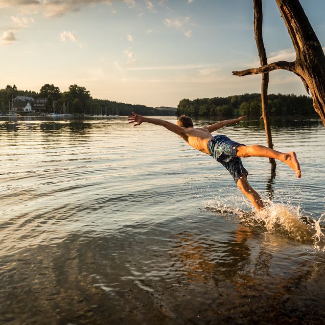 <p>Mann springt im Sommer bei Sonnenuntergang in einen ruhigen See, von Baumstamm aus.</p>